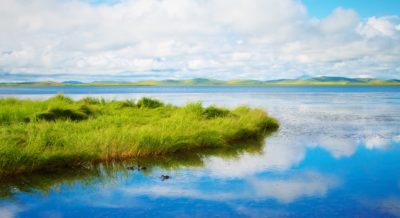 28th Annual Southwest Florida Water Resources Conference 