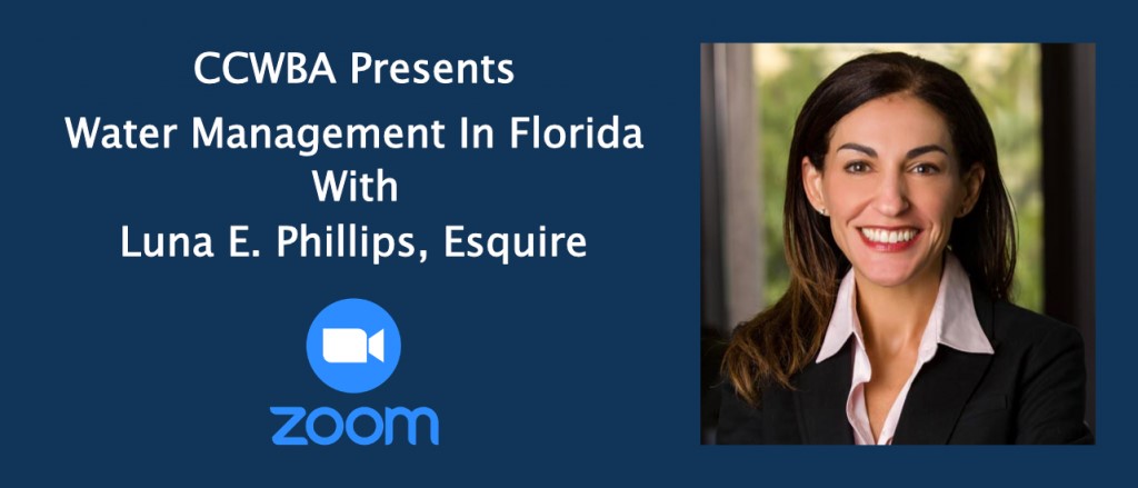 Luna Philips Seminar Logo